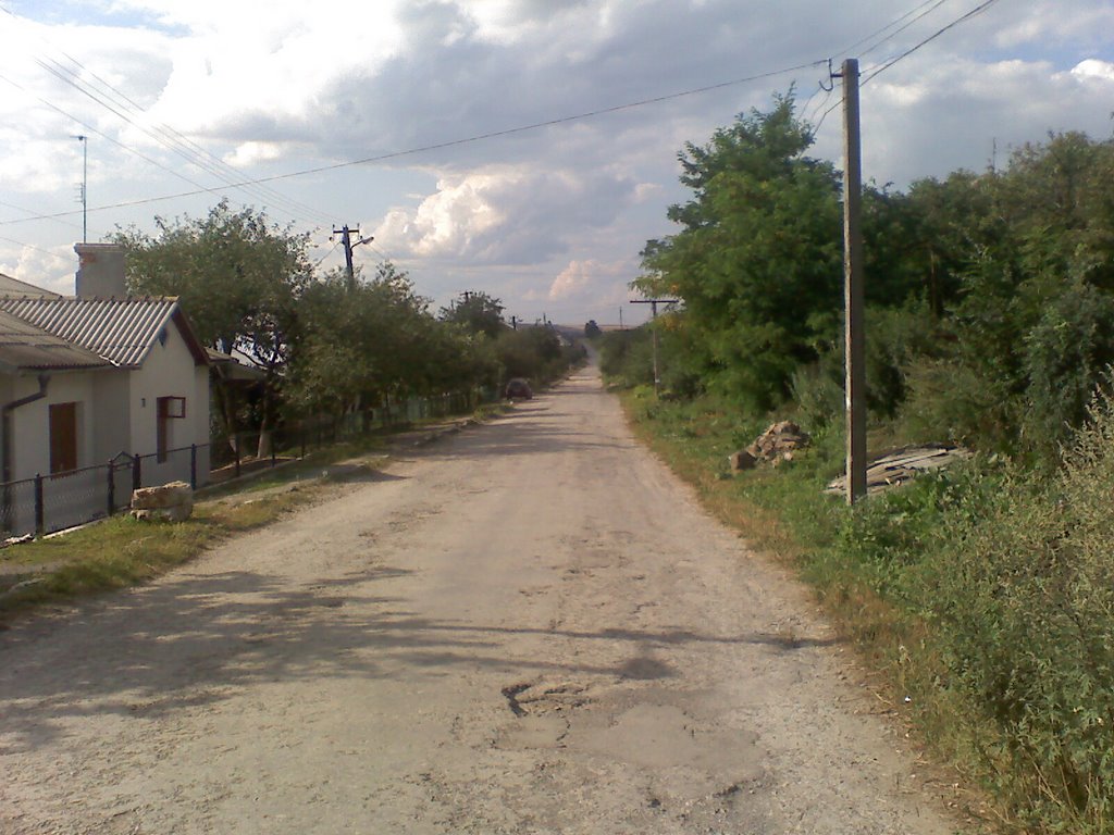 вулиця Коновальця, Konovaltsya st.