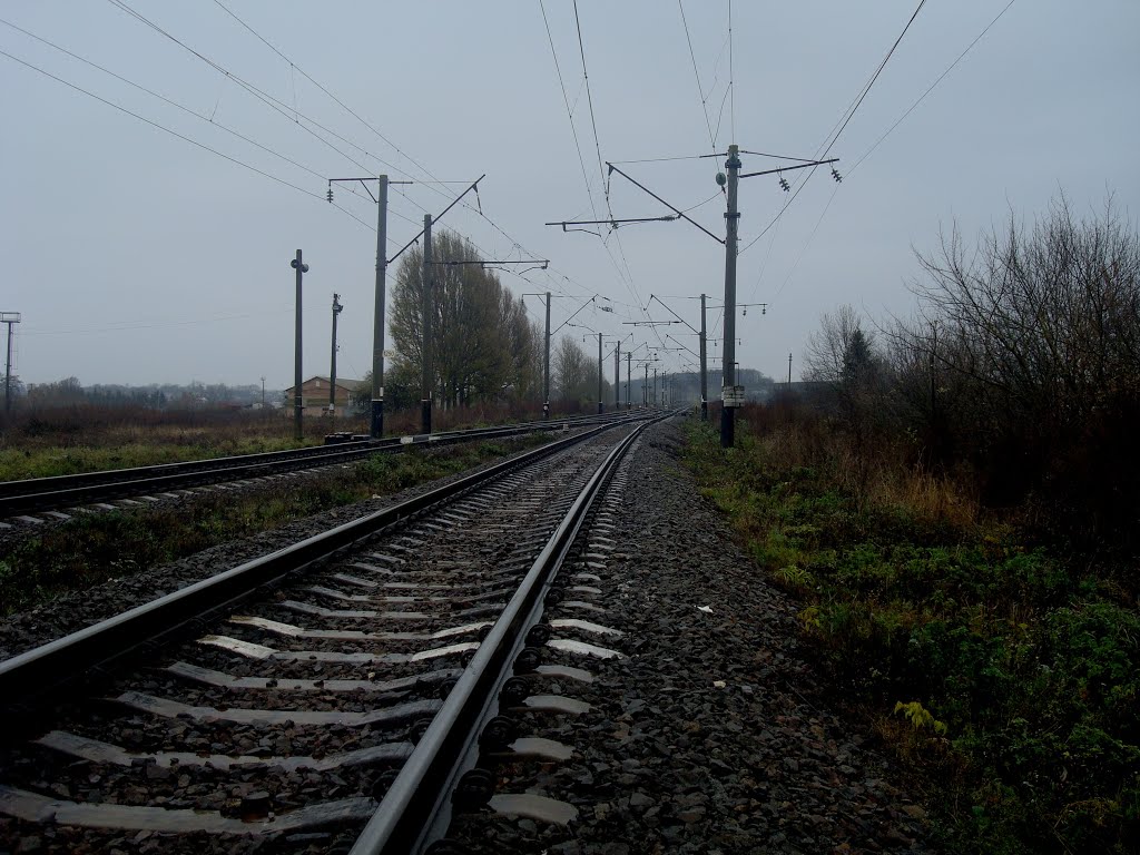 Железнодорожная линия Жмеринка - Подволочиск. Начало станции Подволочиск