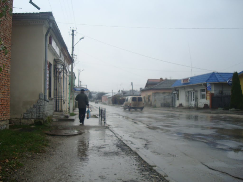 Улица в Подволочиске