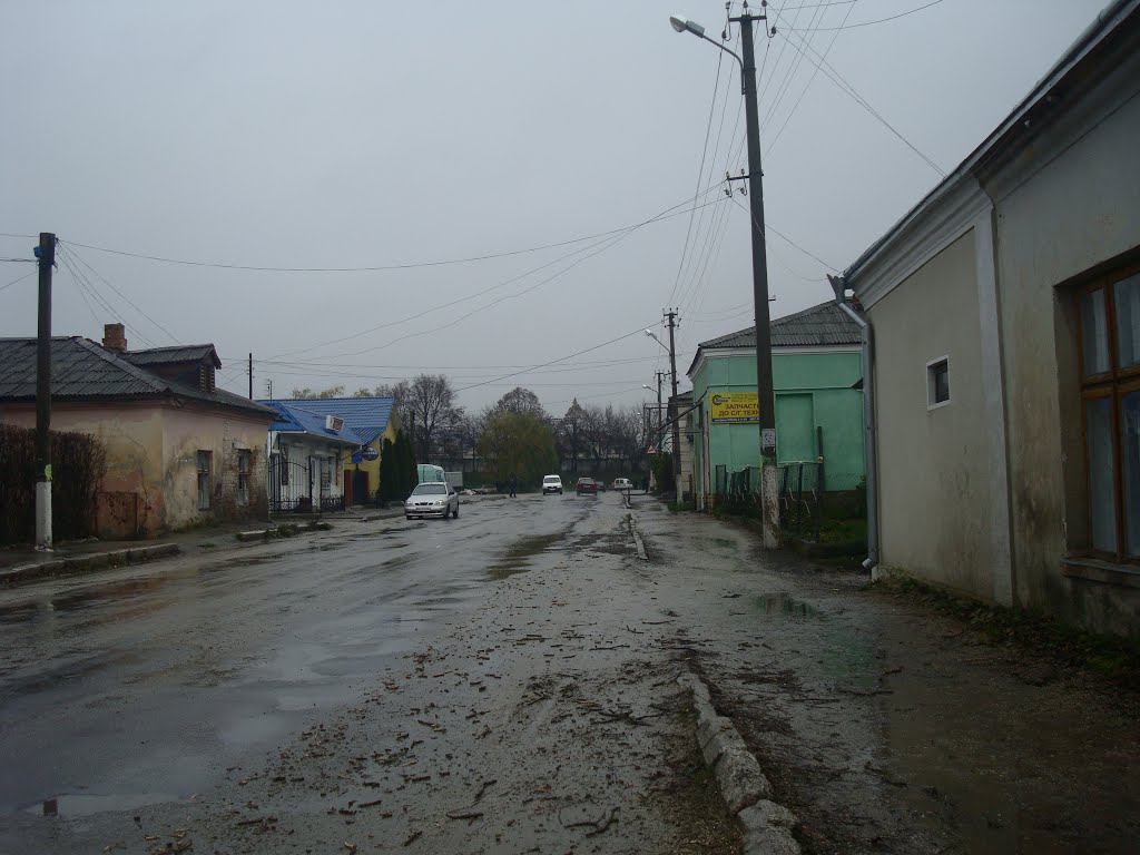 Улица в Подволочиске