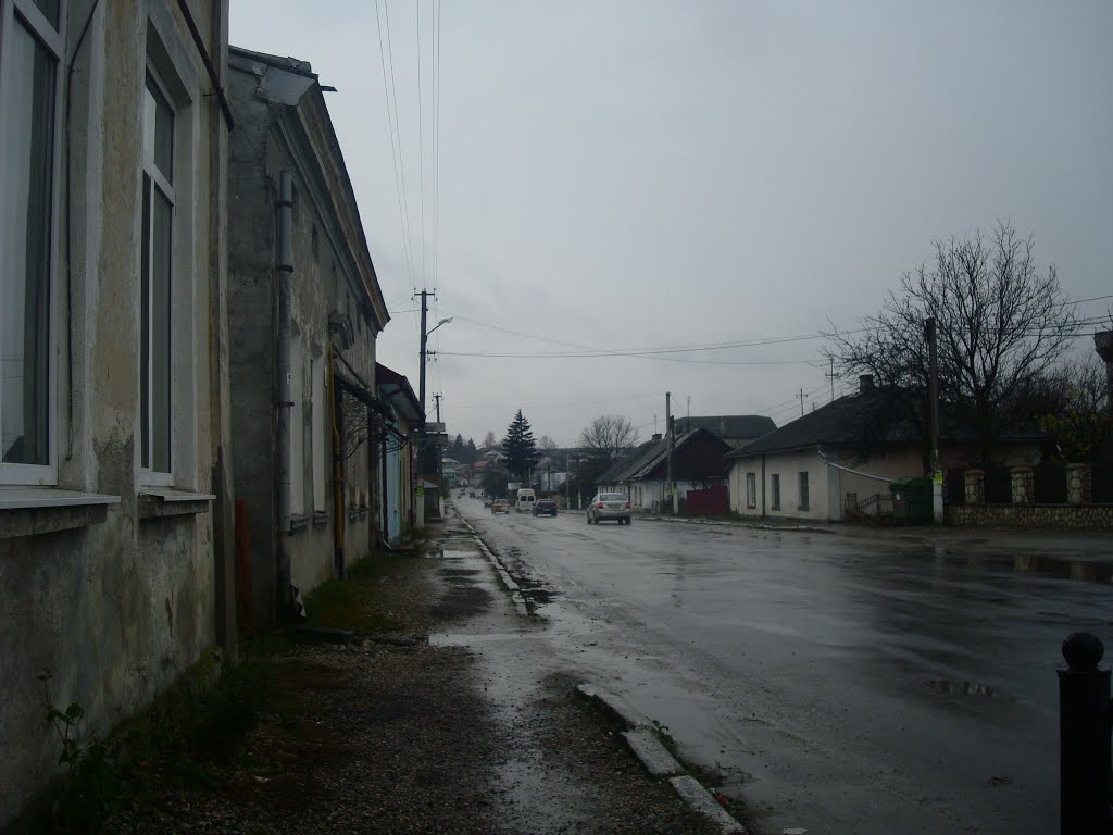 Улица в Подволочиске