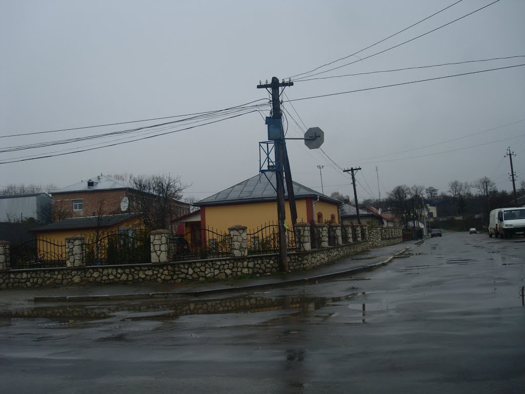 Подволочиск. Красивый дом