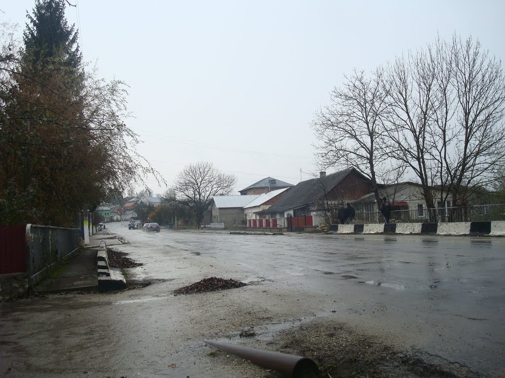 Улица в Подволочиске