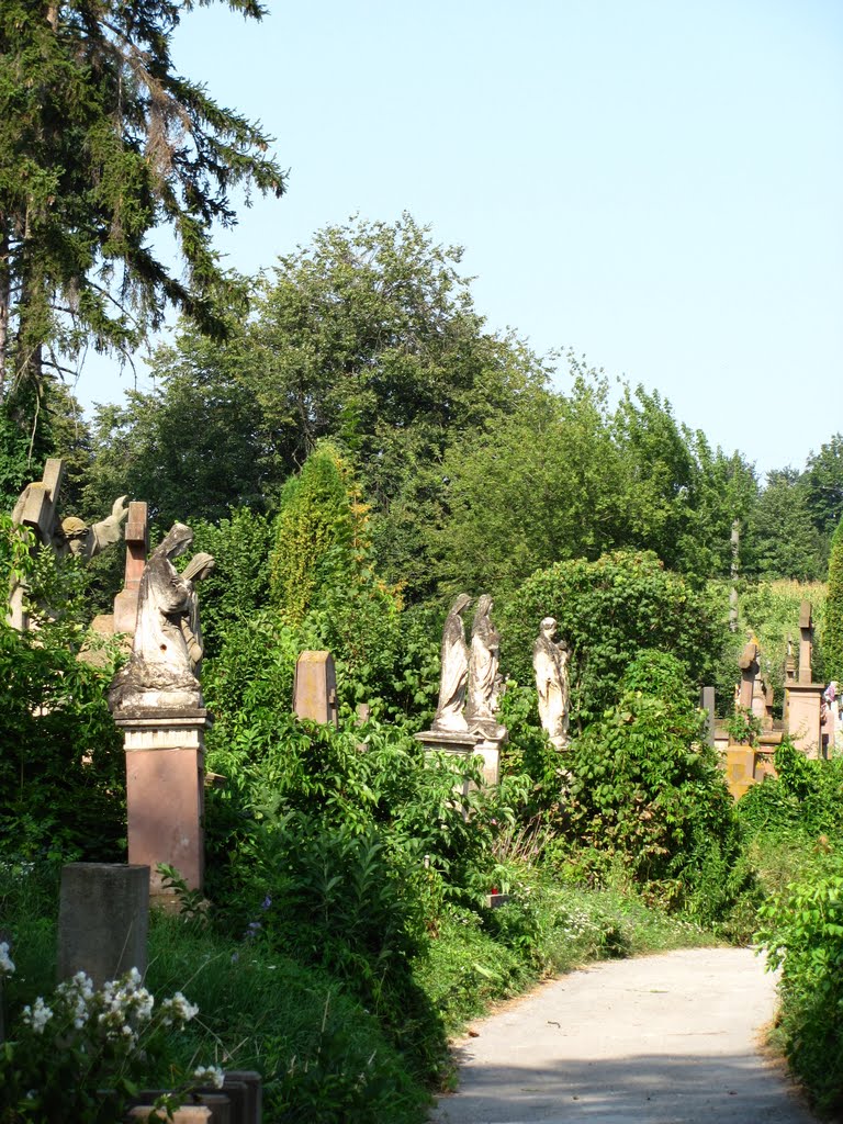 Старое кладбище. Old cemetery.