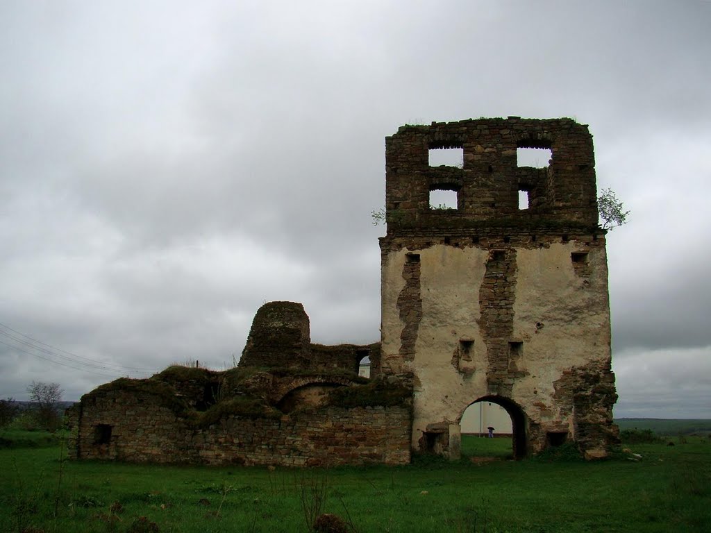 Руїни Підгорянського монастиря, ruins of the Pidhoransky monastery