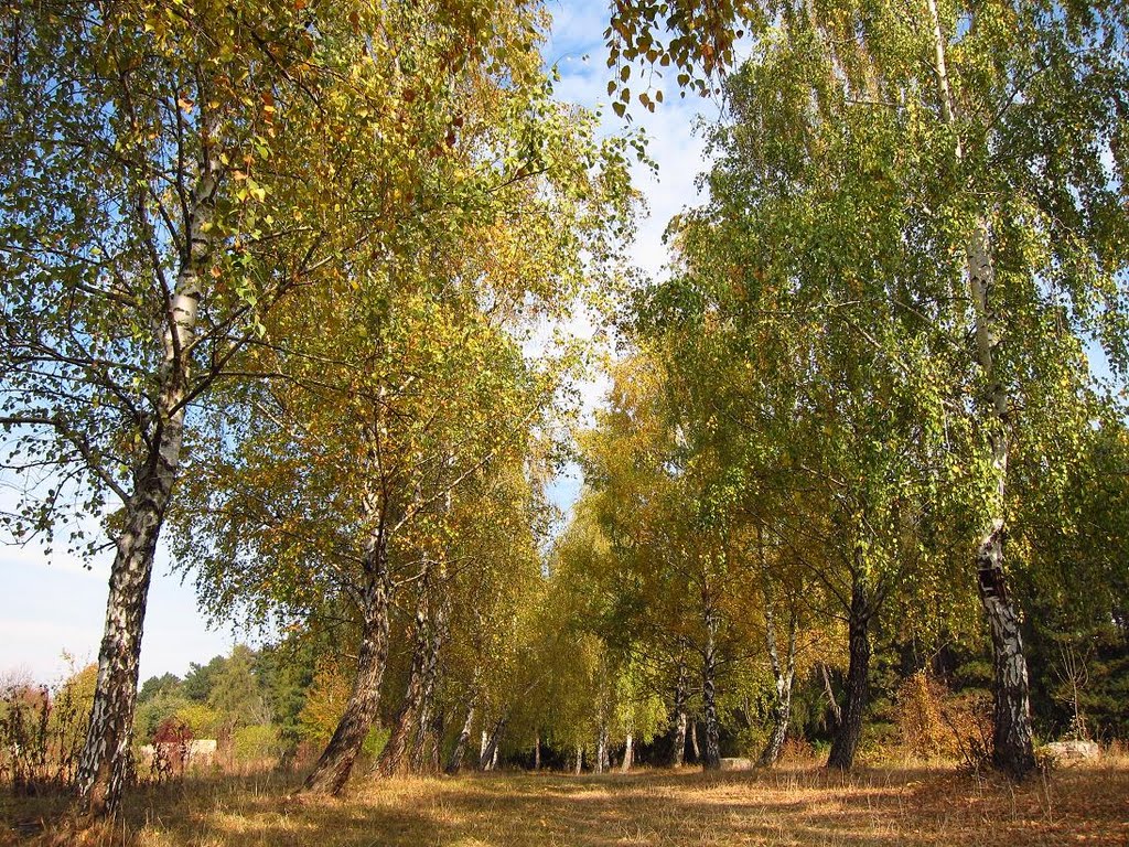Осінь. Парк. Теребовля.