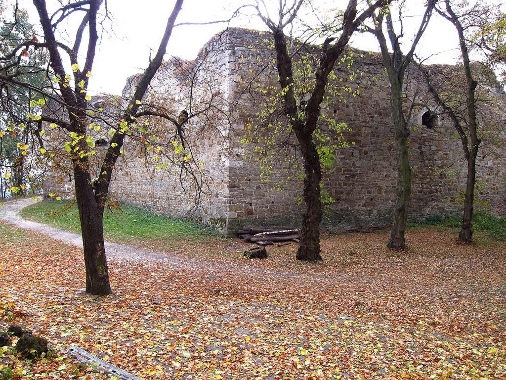 Теребовля. Замок (1630р.)