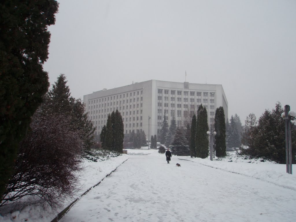 Власть