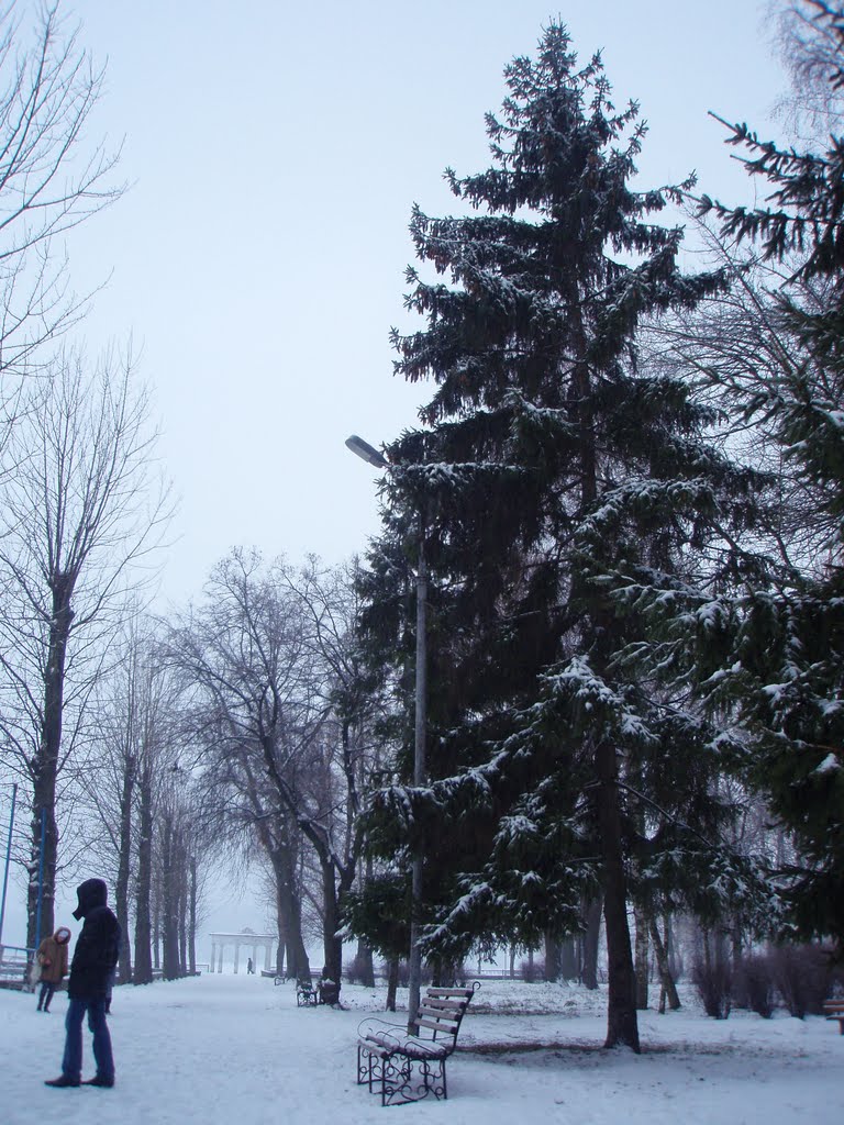 Елка