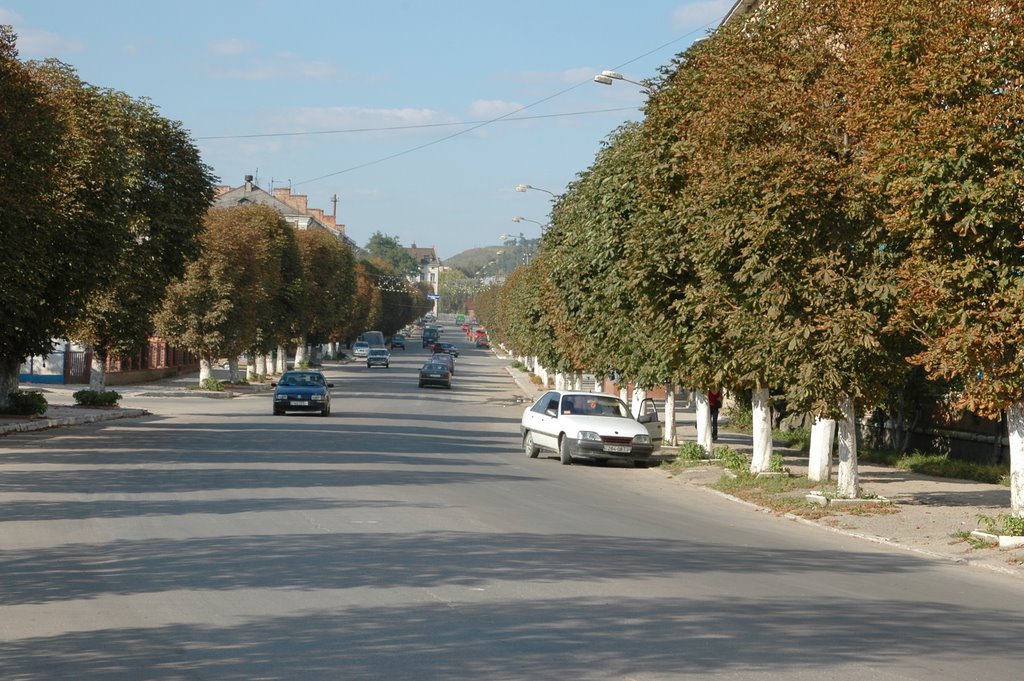 Shetchenka str.