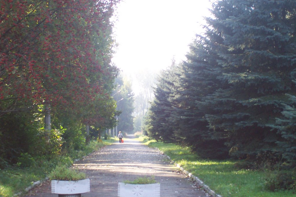 V Parku
