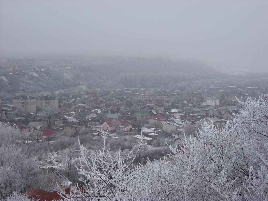 View to the Chortkiv1
