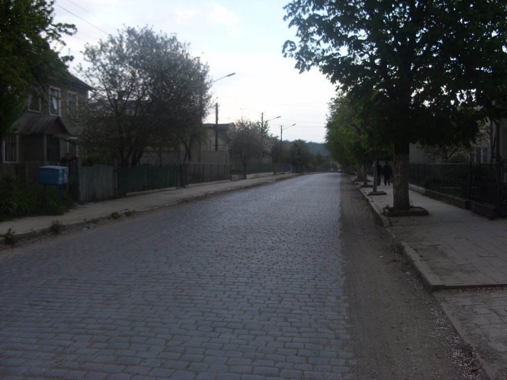 Zaliznuchna st.