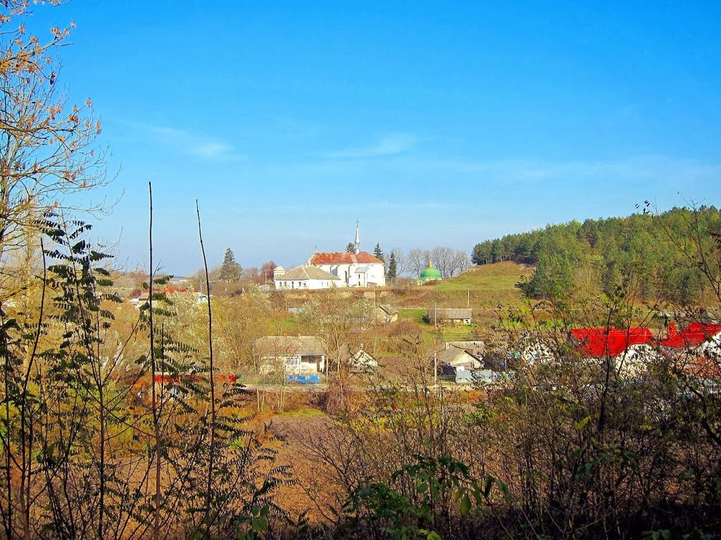с. Лошнів. Костел святого Яна з Кентів.(1873р.)/Loshniv village. Church. (1873)/(2013).