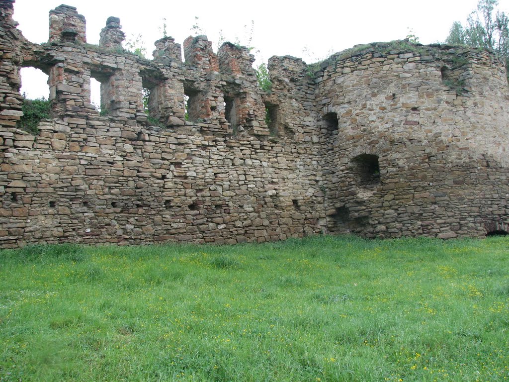 Микулинці, замок