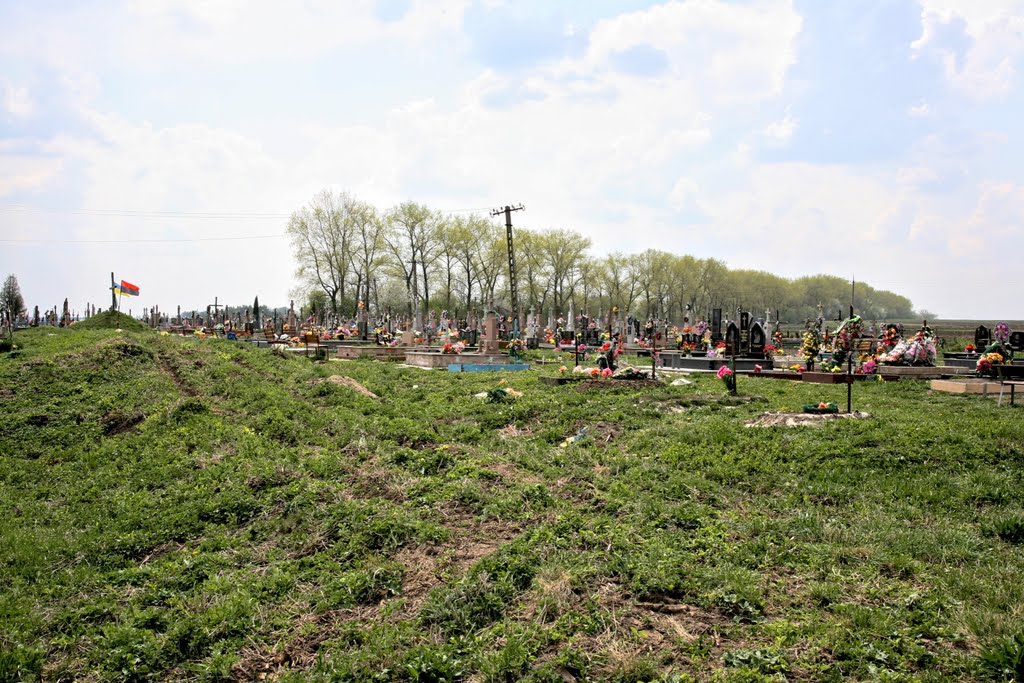 Струсів, cemetery