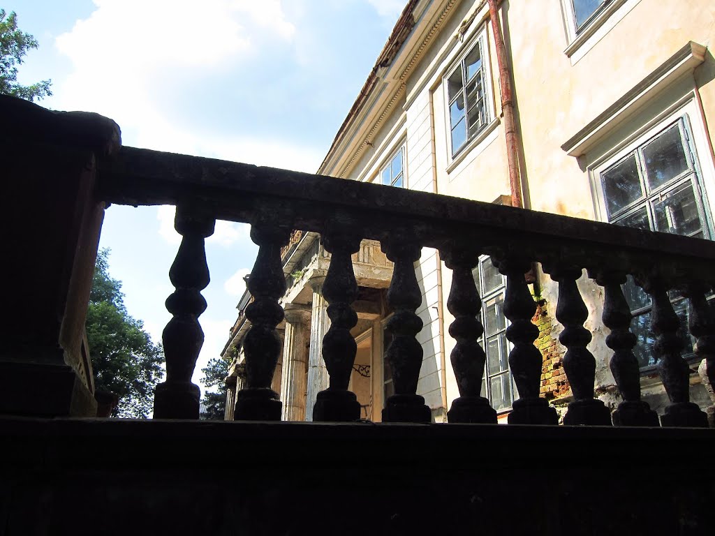 с. Струсів. Палац. (1780р.)/Village Struses. Сastle-palace.(1780)/(2013).