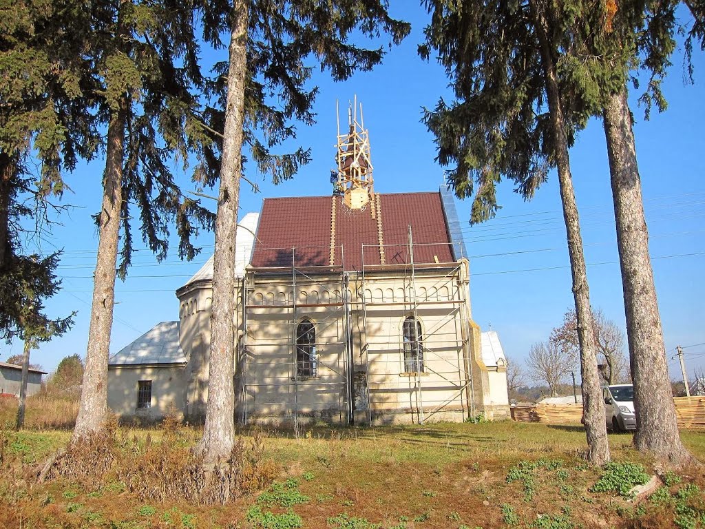 с. Скоморохи. Костел Успіння Пресвятої Діви Марії.(1908р.)/ village Skomorochy. Church. (1908).