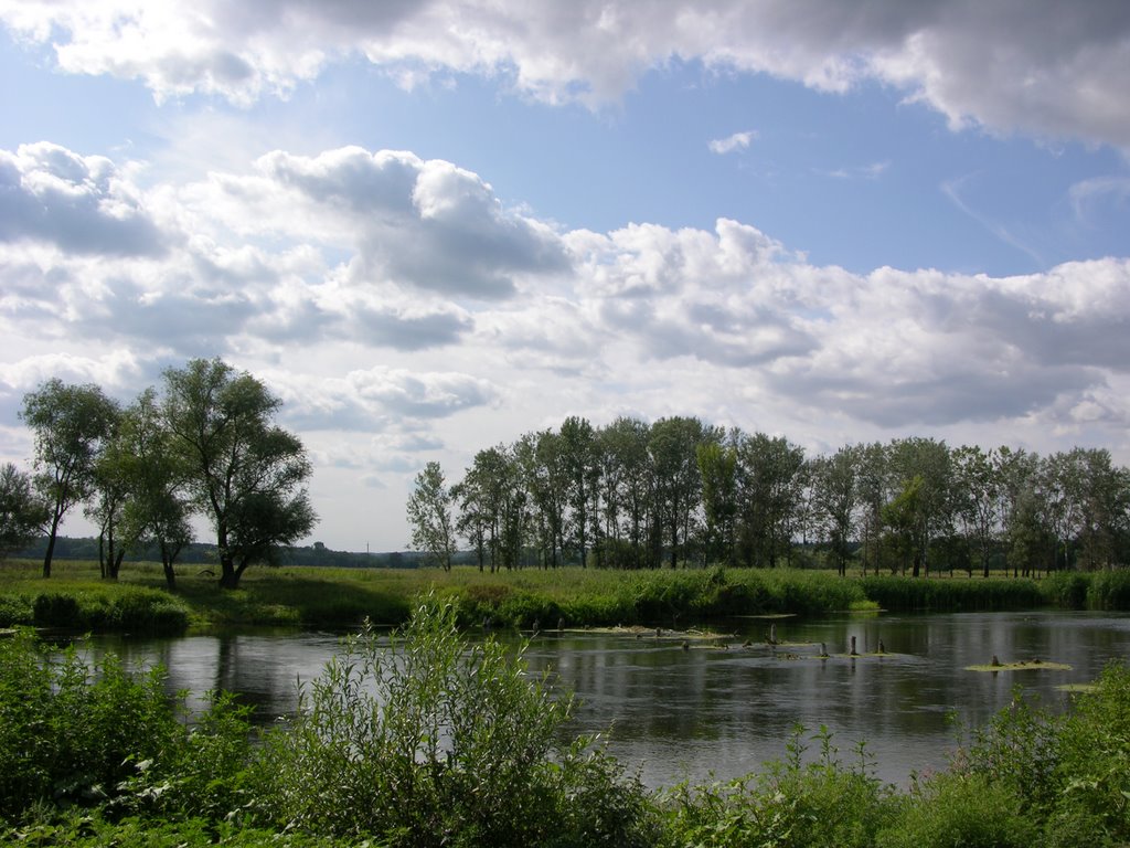 Река до Буковки