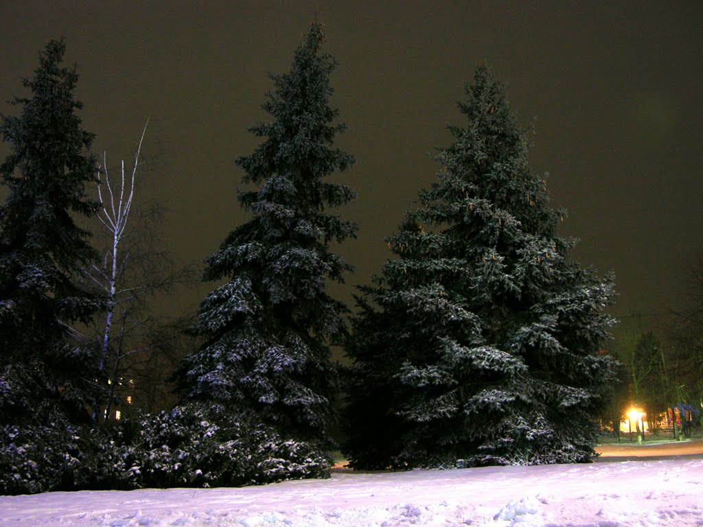Зимний ночной Лысый парк 15.01.2010