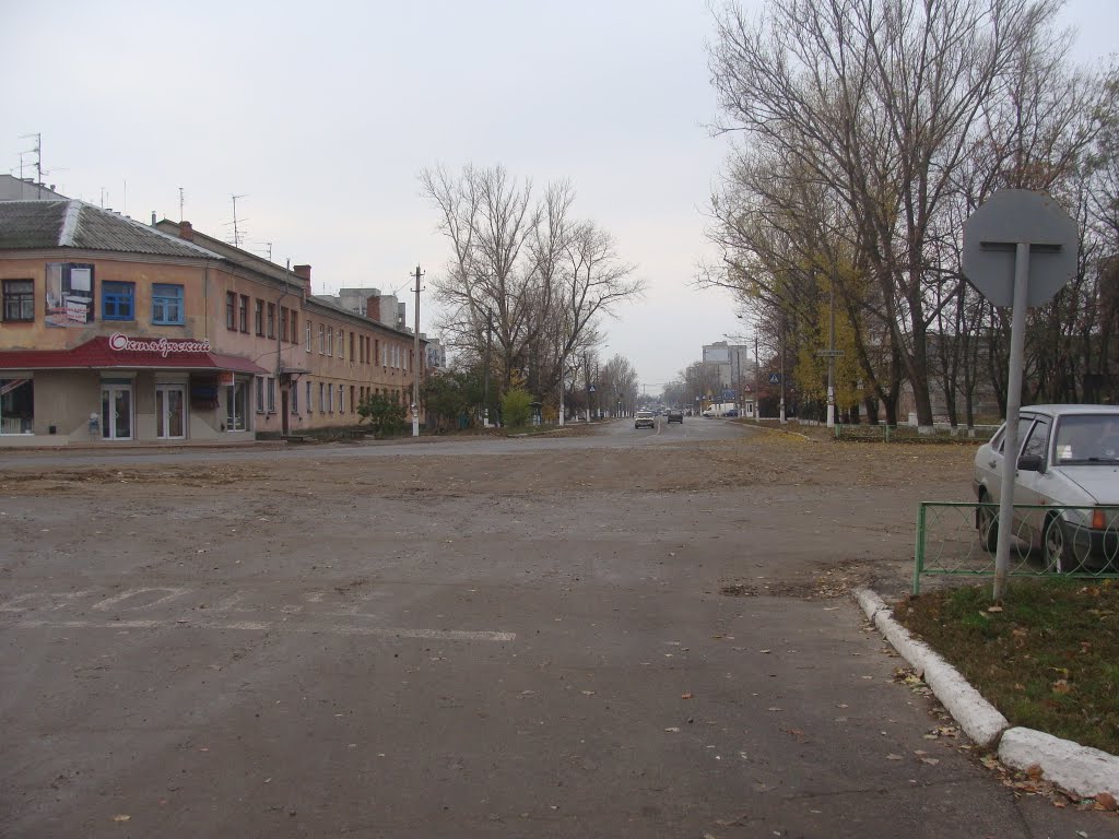 ул. Октябрьская (2010.11.05) вид от проходной