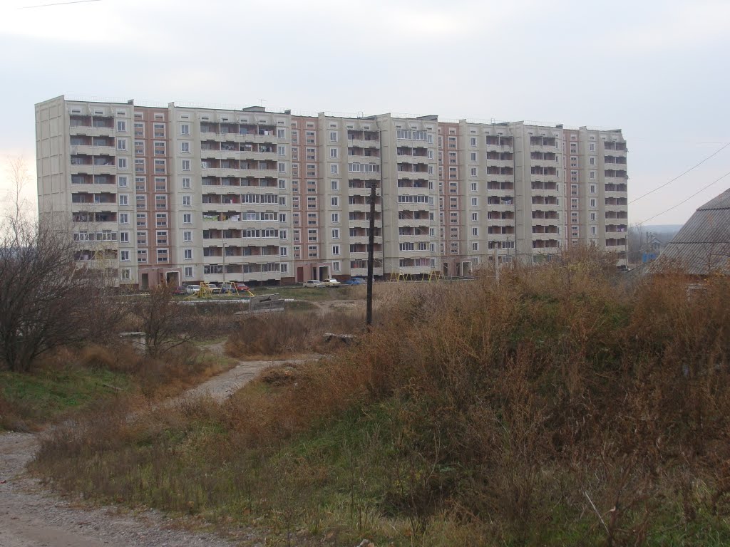 Новый дом на болоте (2010.11.05) Куйбышева 2Б