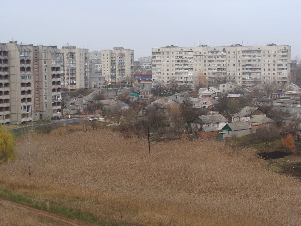 Болотце во дворе домов (2010.11.05)