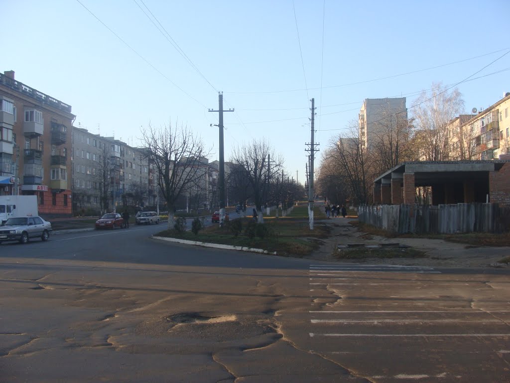 перекресток на 14-ом Дорога в Центр...(2010.11.15)