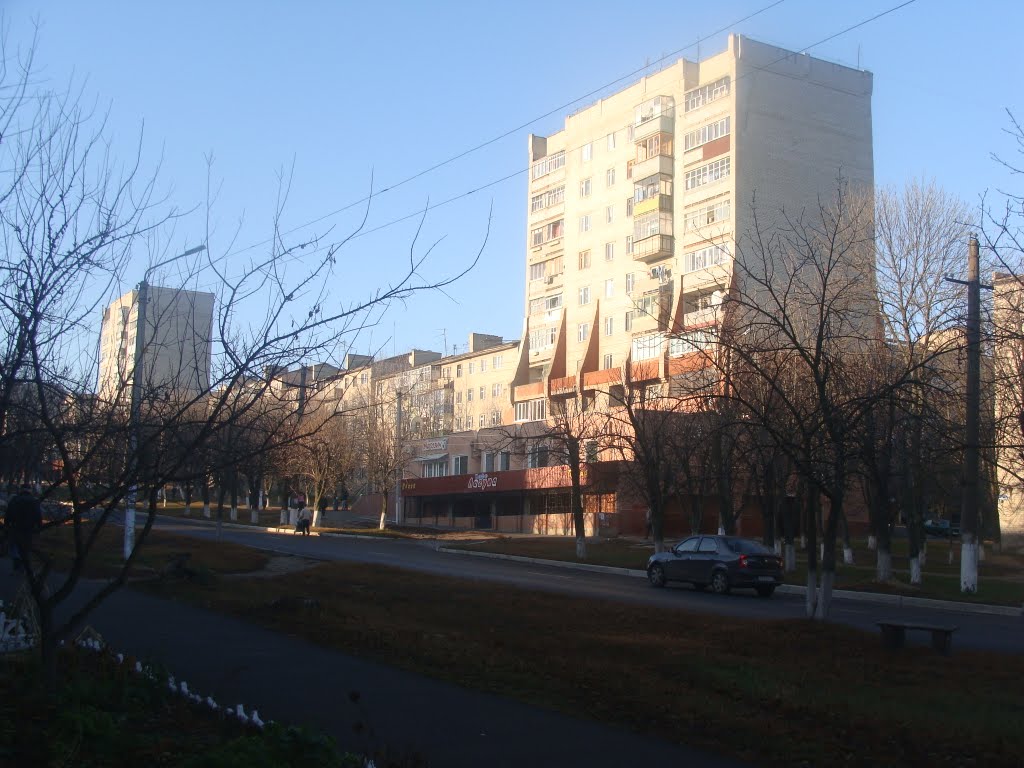 "Башни Близнецы" ул. Ленина (2010.11.15)