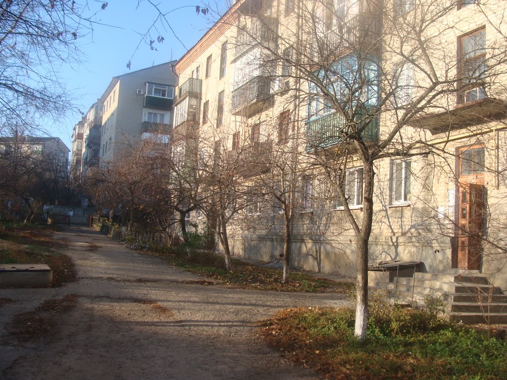 Двор дома № 79 (2010.11.15)