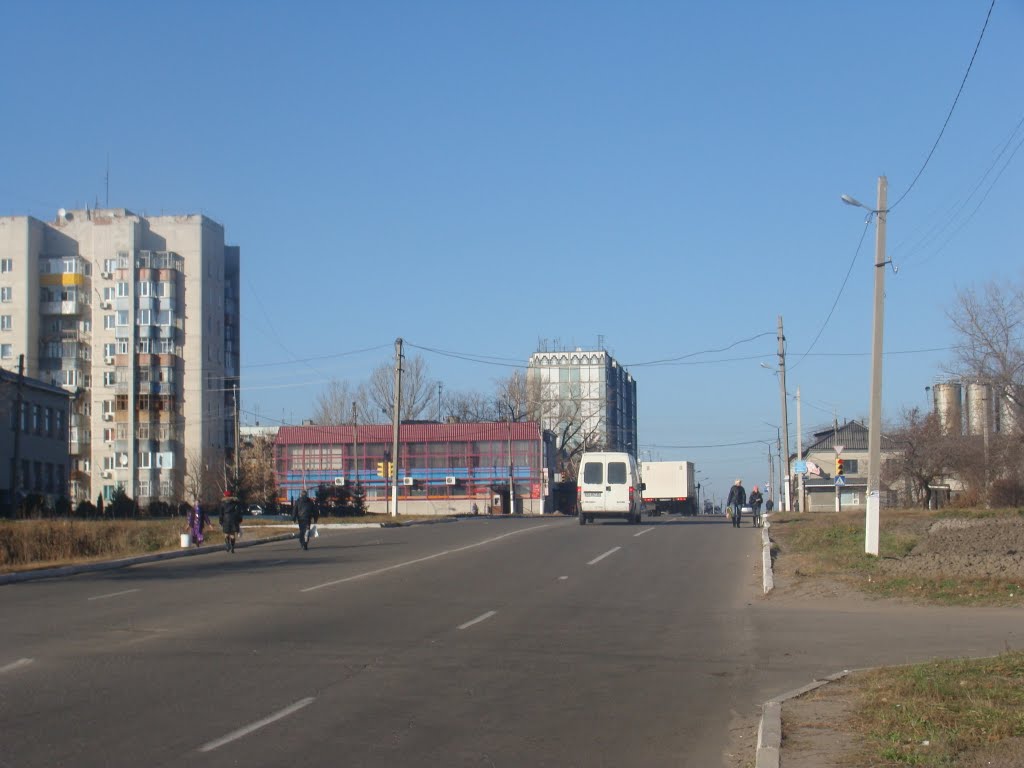 Дорога к маг. "Мрія" (2010.11.15)