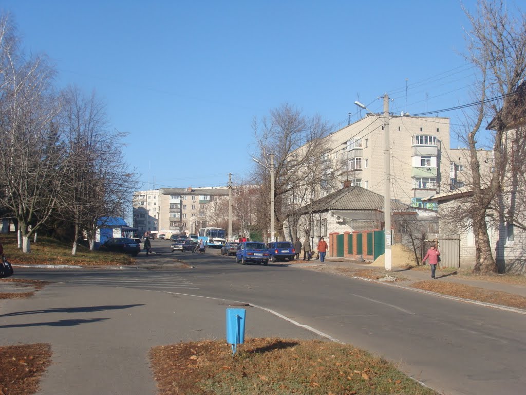 ул. Серпуховского (2010.11.15)