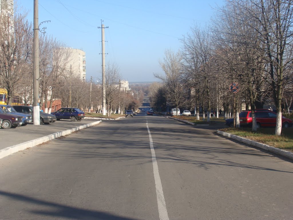 ул. Ленина (2010.11.15)