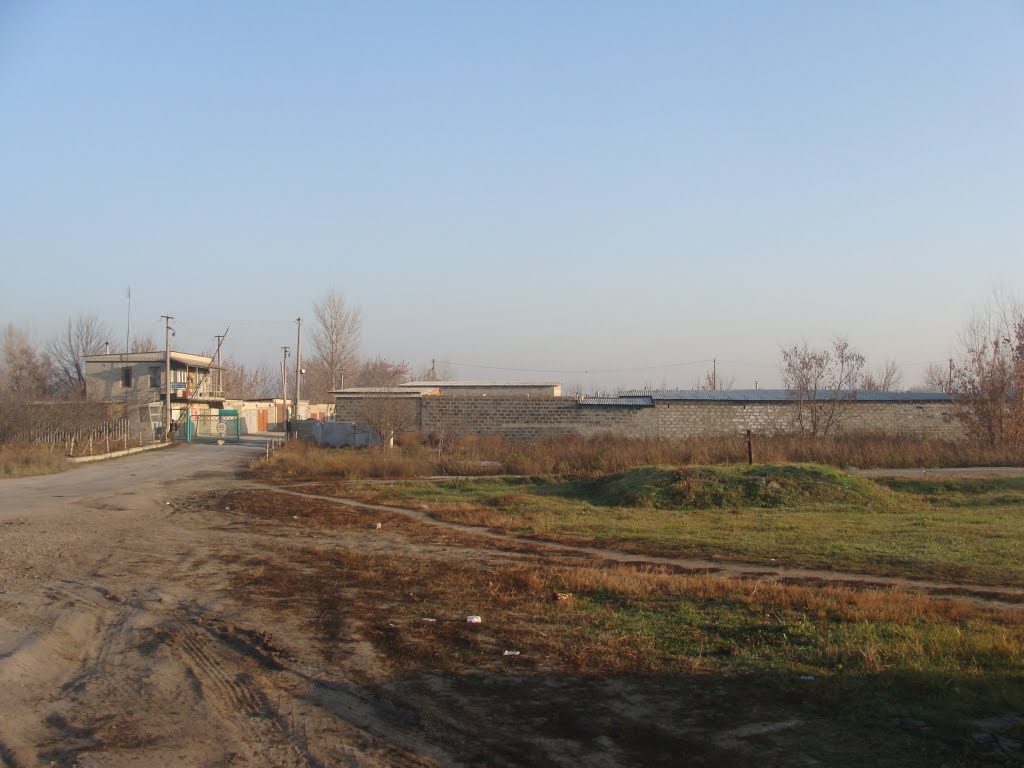 Гаражи (2010.11.16)