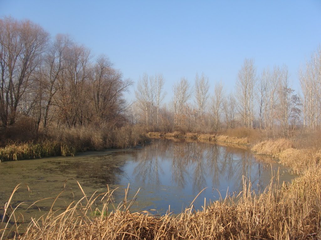 Речка (2010.11.16)