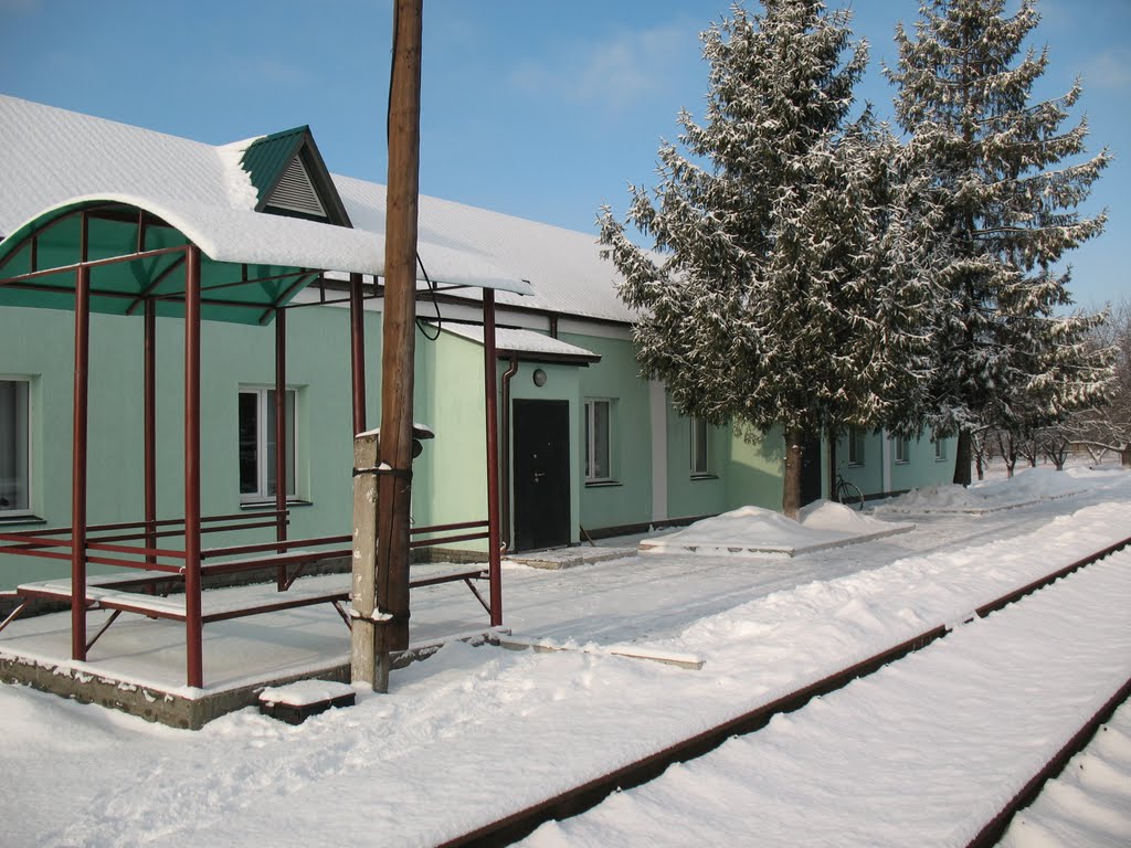Околоток