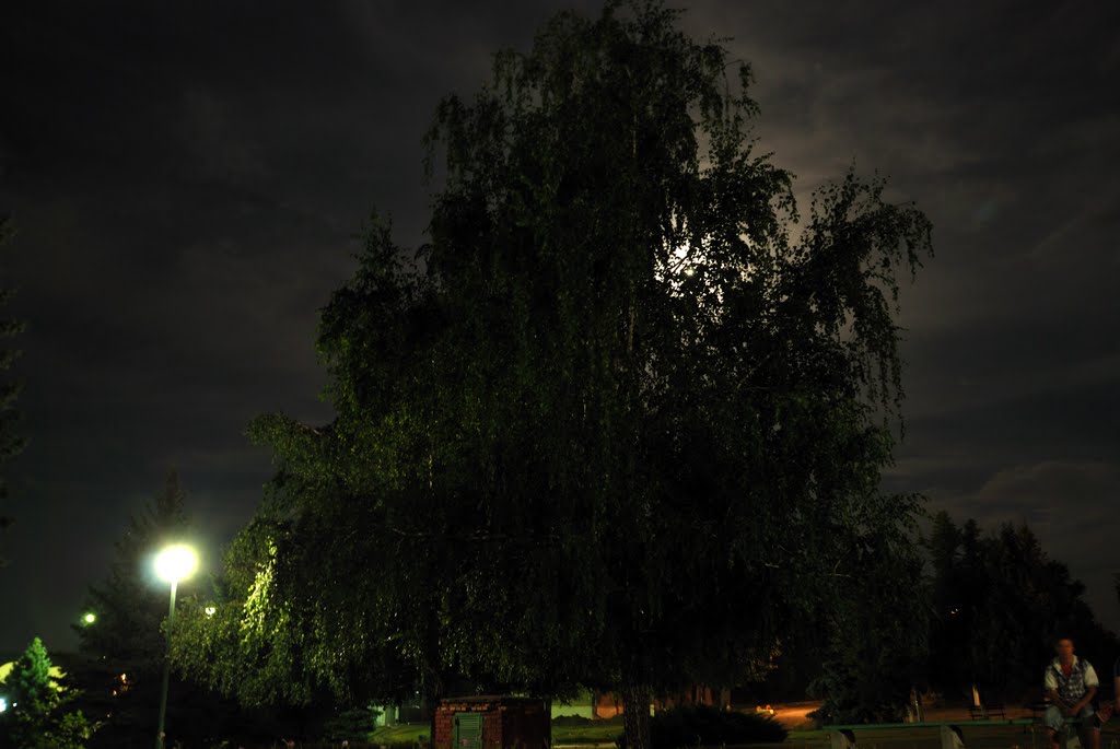 Центр 13.08.2011