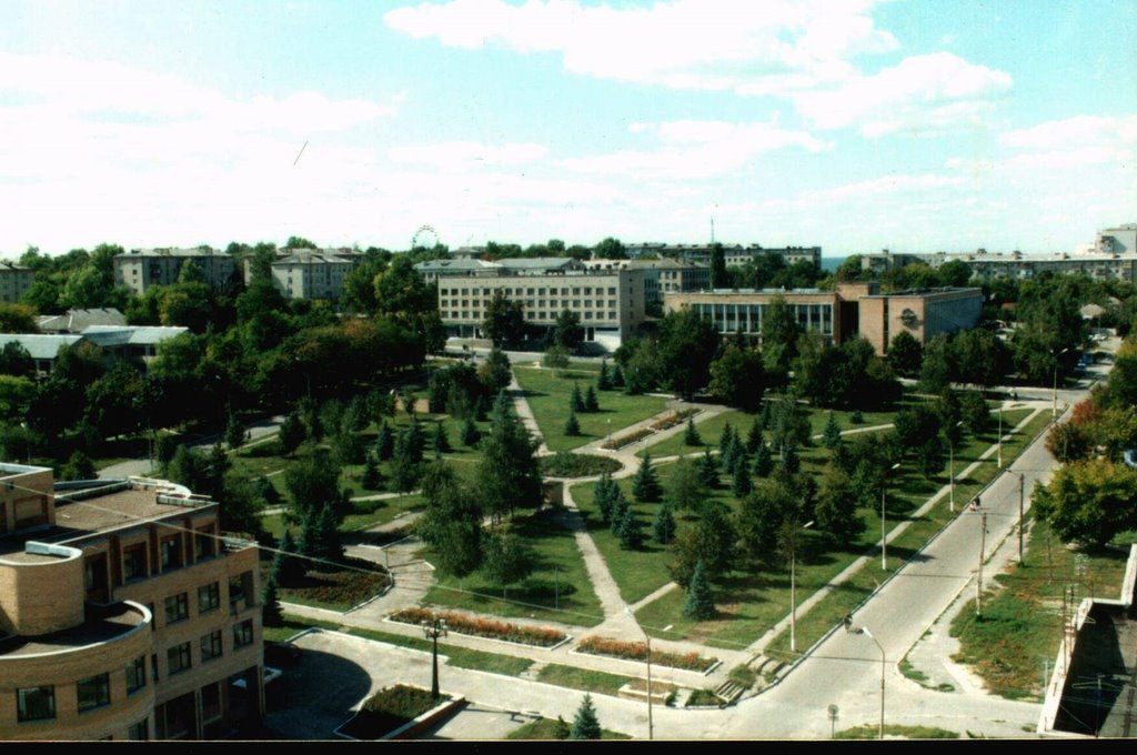 Лысый парк