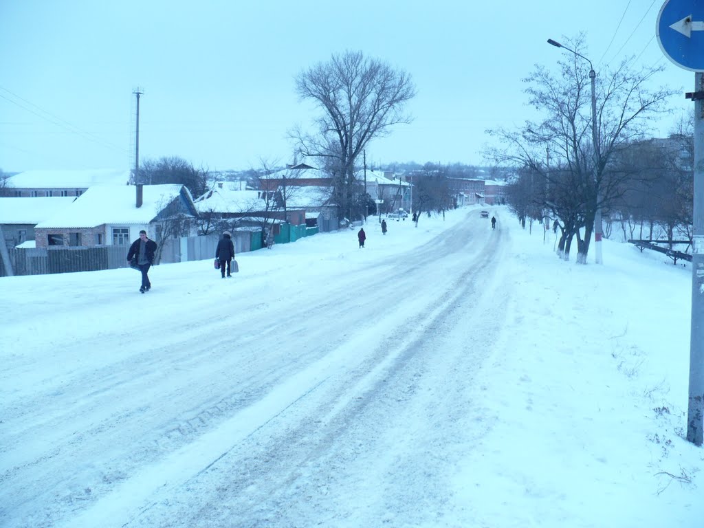 Зима в Барвінковому