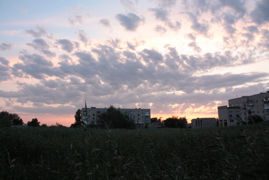 Evening clouds
