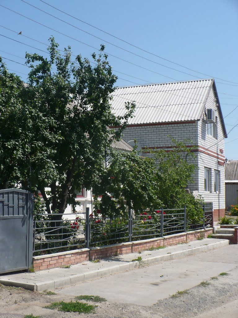 Кафе не Островського