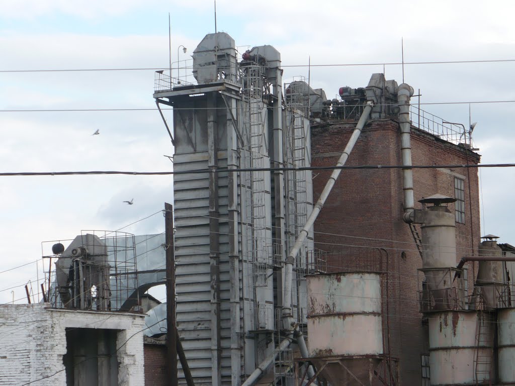 Промархітектура