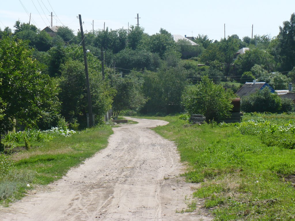 вул. Механізаторів. Тиша і спокій