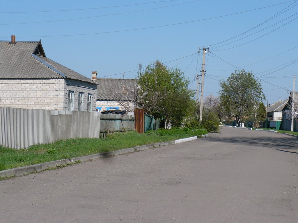 вул. Шевченка