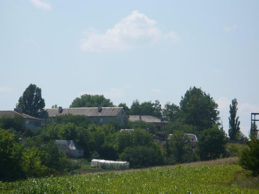 вул. Піонерська