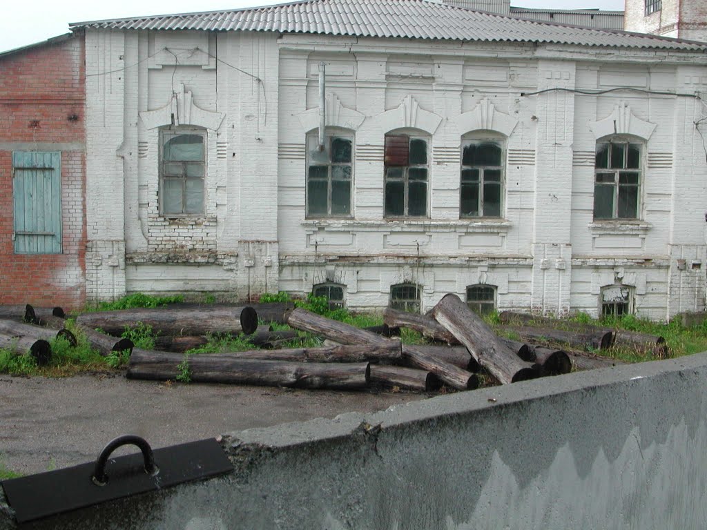 Будинок Фрезів (Froese`s house)
