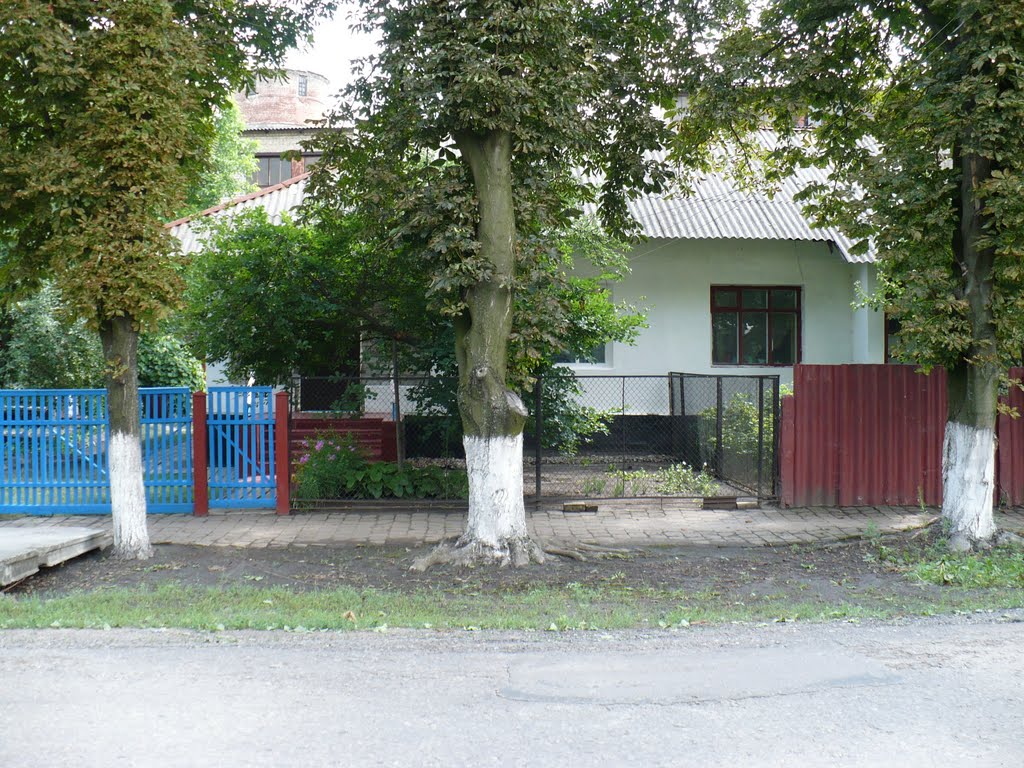 Будиночок на Червонозаводській