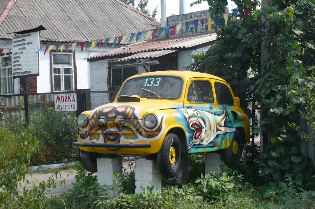 Манюній красунчик Зепп