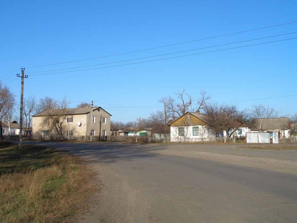 пгт.Близнюки ул.Гонтаренко