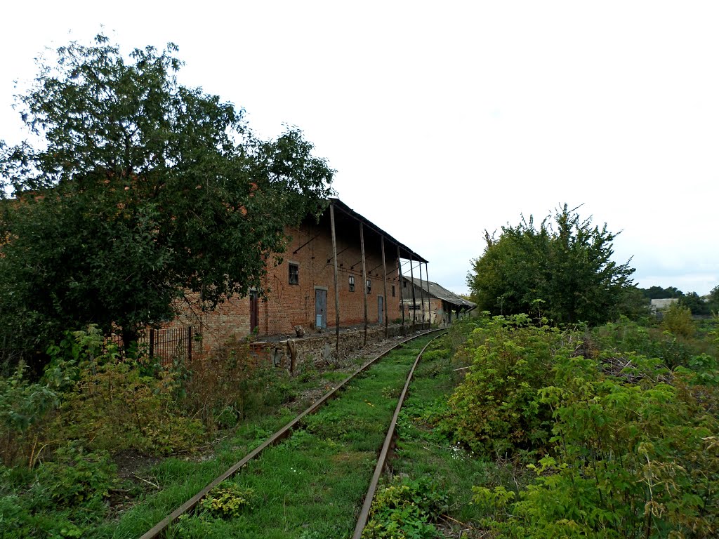 Скрыто от глаз